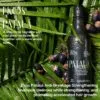 Shampoo Ekos Patauá 300ml - Natura - Imagem 2